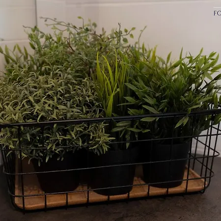 Old Town - No 97 * Danzig